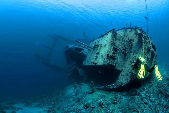 Wreck Dive — Cedar Pride