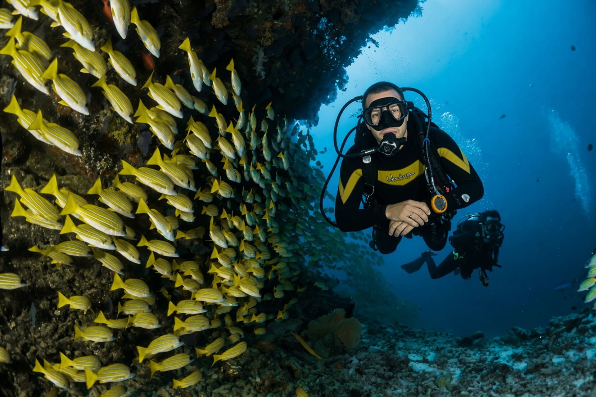 Scuba diver exploring the Red Sea