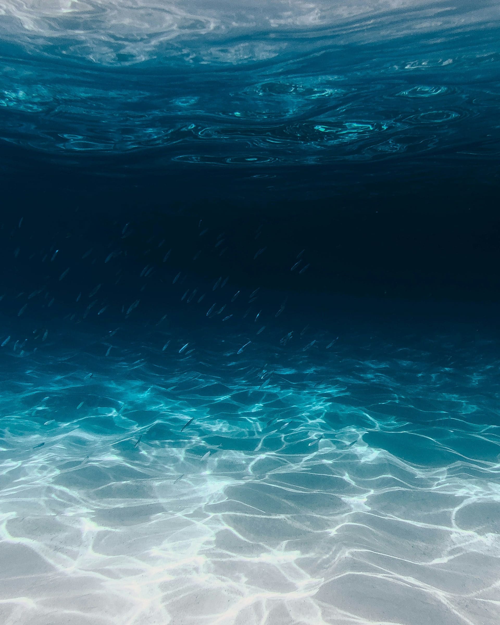 Boat on the Red Sea