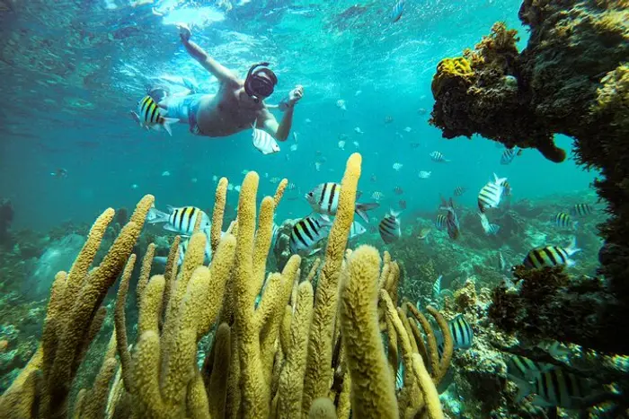 Reef Snorkeling & Dive Combo